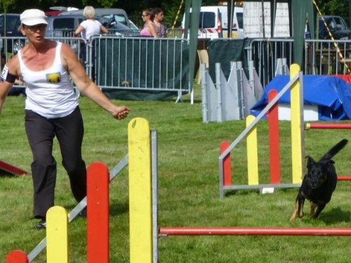 Concours d'agility, Autun, 14 septembre 2014