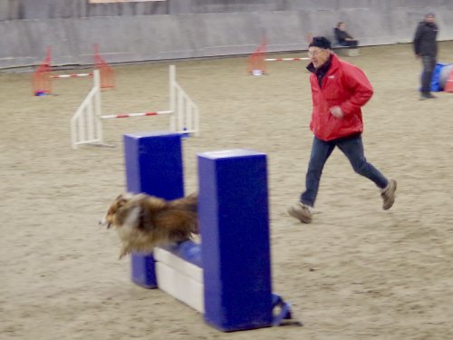 Concours d'agility, Dijon 8 décembre 2024
