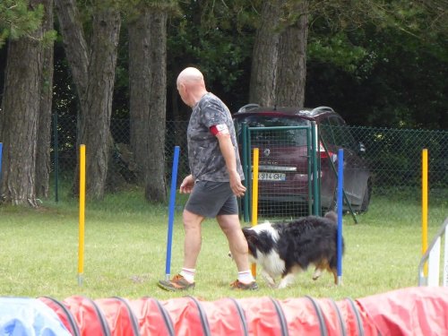 Concours d'agility, Daix, 17 juin 2018