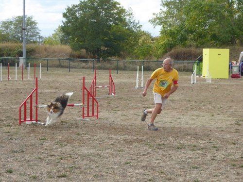 Concours d'agility, Dijon, 22 septembre 2019