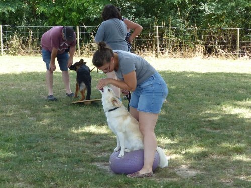 Fitness canin, 18 juin 2022