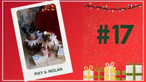 Concours photos 2024 : sur le thème de Noël