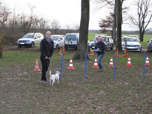 Education canine, 21 décembre 2019