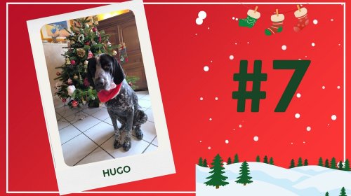 Concours photos 2024 : sur le thème de Noël