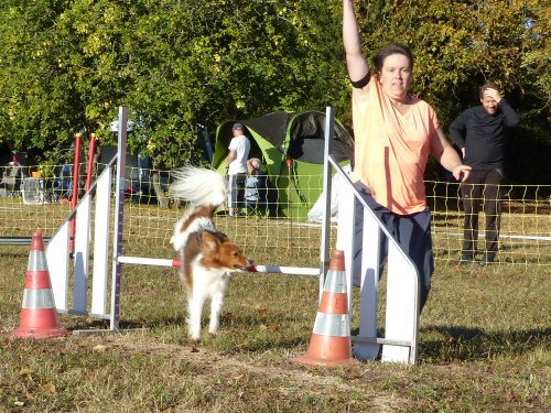 Concours d'agility, Fontaines 11 septembre 2022