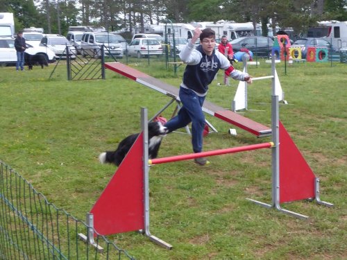 Concours d'agility, Messigny Vantoux, 12 et 13 mai 2018