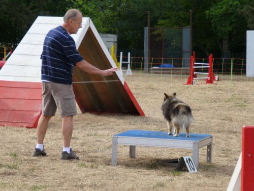 Concours d'agility, Nuits Saint Georges, 26 juillet 2015