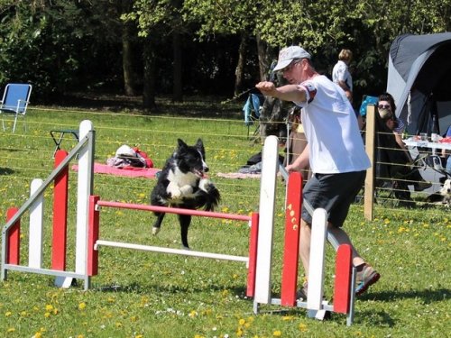 Premier concours d'agility de Fontaines, le 12 avril 2015