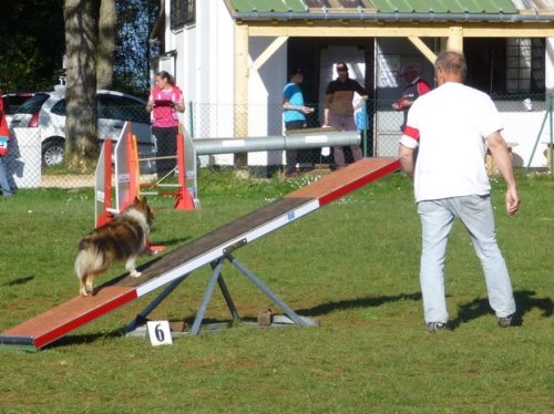 Concours d'agility, Daix, 19 avril 2015