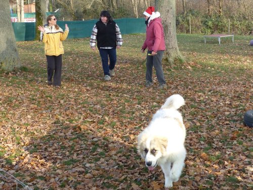 Education canine, 17 décembre 2022