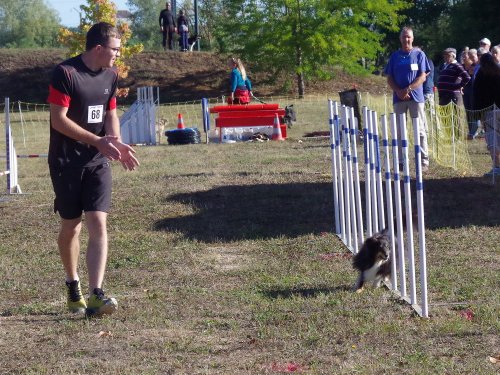 Concours d'agility, Fontaines 11 septembre 2022