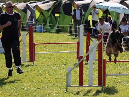 Premier concours d'agility de Fontaines, le 12 avril 2015