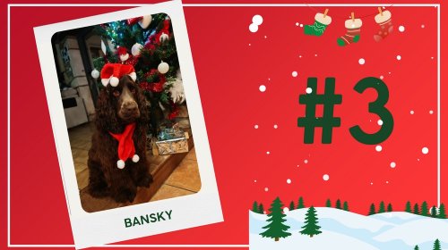 Concours photos 2024 : sur le thème de Noël