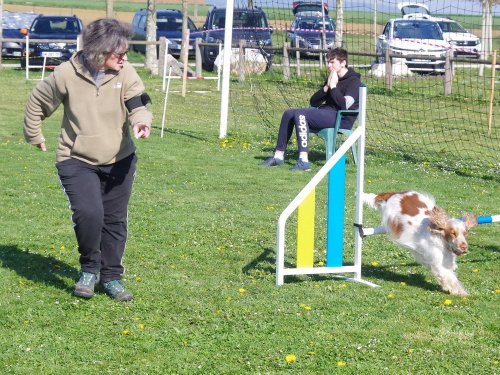 Concours d'agility, Barges, 9 avril 2023