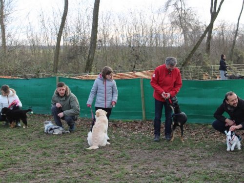 Education canine, 21 décembre 2019