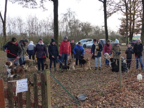 Education canine, 17 décembre 2022