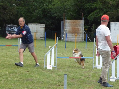 Concours d'agility, Daix, 17 juin 2018