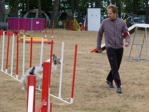 Concours d'agility, Nuits Saint Georges, 26 juillet 2015