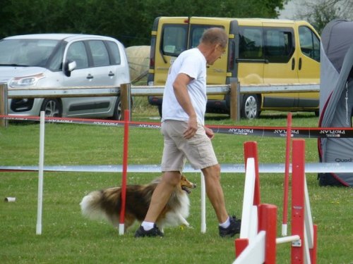 Concours d'agility, Sainte Marie la Blanche, 23 juillet 2017