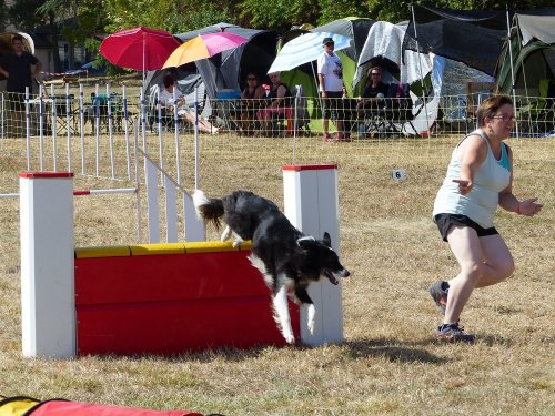 Concours d'agility de Fontaines, le 15 septembre 2019