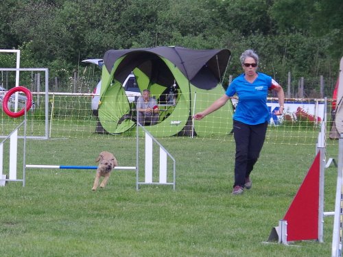 Concours d'agility, Magny sur Tille, 26 mai 2019