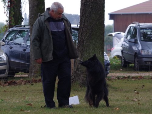 CAESC et Pass-agility Fontaines 17 septembre 2016