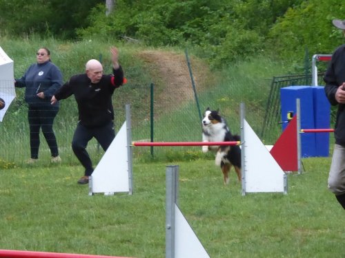 Concours d'agility, Messigny Vantoux, 12 et 13 mai 2018