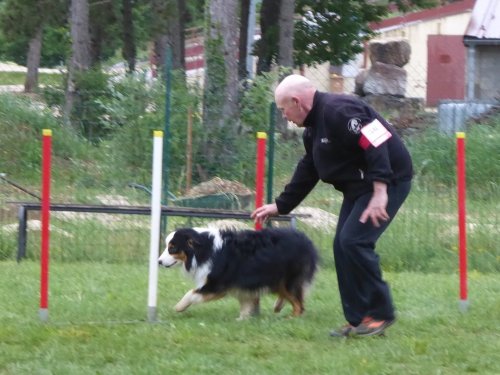 Concours d'agility, Messigny Vantoux, 12 et 13 mai 2018