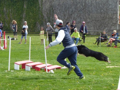 Concours d'agility, Barges, 21 avril 2019