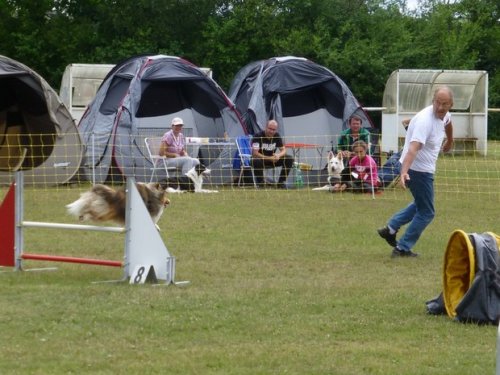 Concours d'agility, Magny sur Tille, 2 juillet 2017