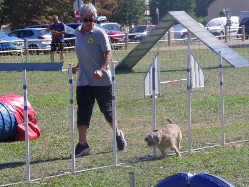 Concours d'agility, Fontaines, 9 et 10 septembre 2023