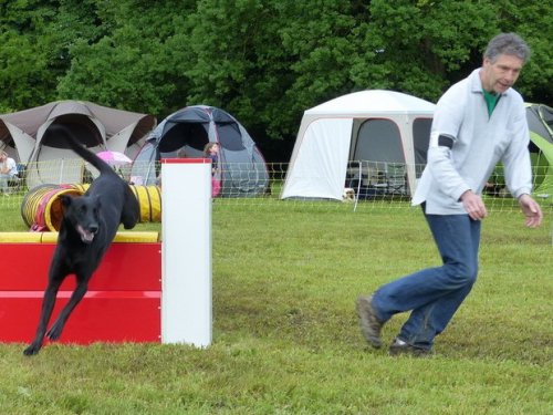 Concours d'agility de Fontaines, le 29 mai 2016