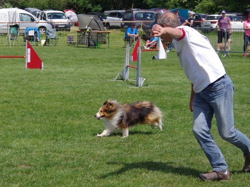 Concours d'agility, Magny sur Tille, 26 mai 2019