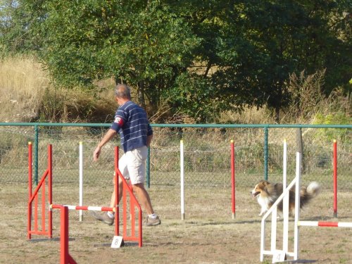 Concours d'agility, Dijon, 22 septembre 2019