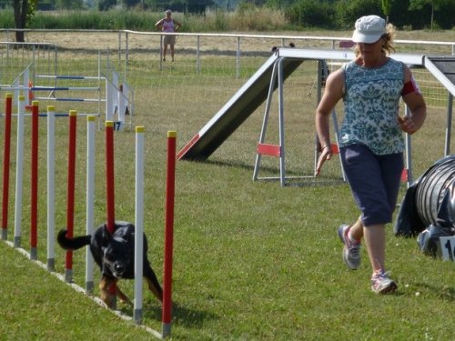 Concours d'agility, Magny sur Tille, 12 juillet 2015