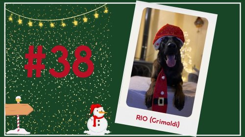 Concours photos 2024 : sur le thème de Noël