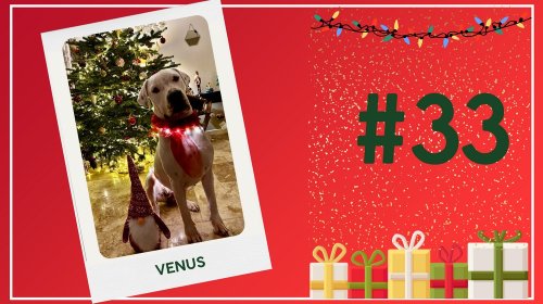 Concours photos 2024 : sur le thème de Noël