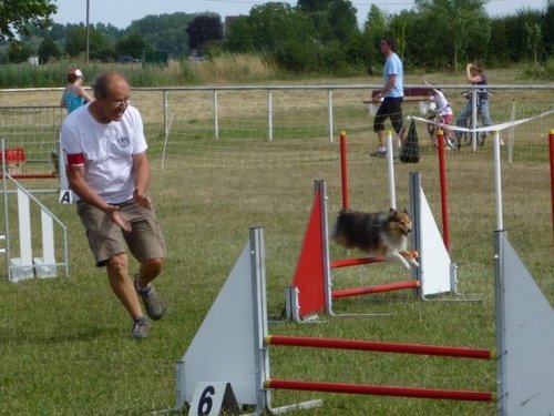 Concours d'agility, Magny sur Tille, 12 juillet 2015