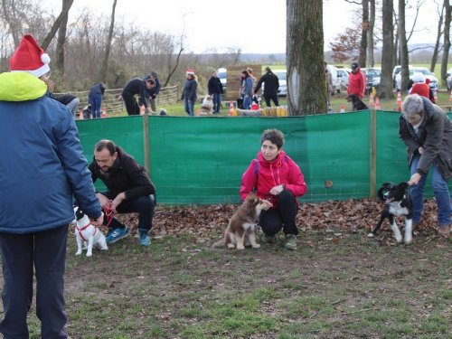 Education canine, 21 décembre 2019