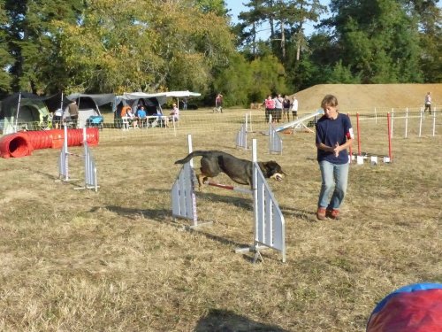 Concours d'agility de Fontaines, le 15 septembre 2019