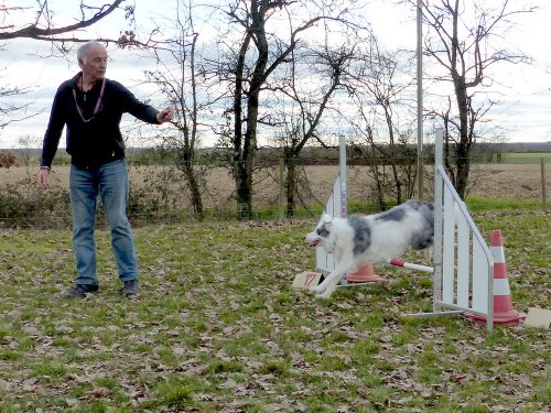 Agility loisir, 18 février 2023