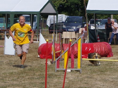 Concours d'agility, Autun, 9 septembre 2018