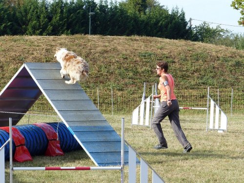 Concours d'agility de Fontaines, le 16 septembre 2018