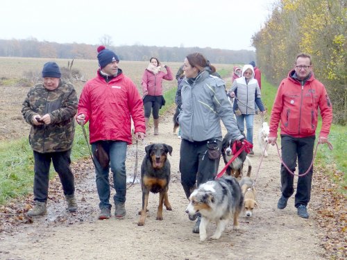 Education canine, 3 décembre 2022