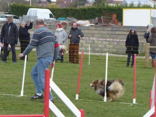 Concours d'agility, Barges, 1 avril 2018