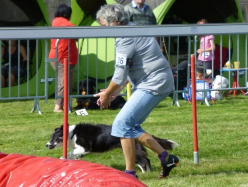 Concours d'agility, Autun, 14 septembre 2014