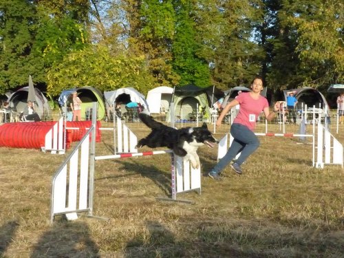 Concours d'agility de Fontaines, le 15 septembre 2019