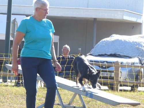 Concours d'agility, Fontaines 11 septembre 2022