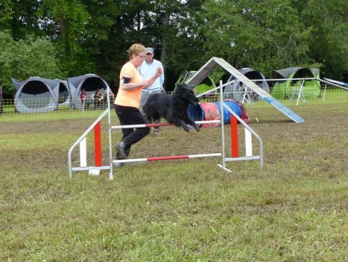 Concours d'agility de Fontaines, le 29 mai 2016