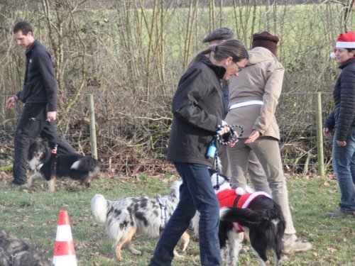 Education canine, 21 décembre 2019